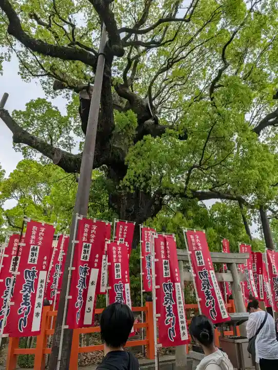 楠珺社(住吉大社末社)の{uncategorized: "未分類", other: "その他", undefined: "問題あり", building: "その他建物", grave: "お墓", sacred_gate: "鳥居", guardian: "狛犬", statue: "像", buddha: "仏像", history: "歴史", nature: "自然", garden: "庭園", animal: "動物", pagoda: "塔", temizu: "手水舎", mountain_gate: "山門・神門", sanctuary: "本殿・本堂", subordinate: "末社・摂社", art: "芸術", scenery: "景色", jizo: "地蔵", ema: "絵馬", goshuin: "御朱印", omikuji: "おみくじ", items: "授与品その他", amulet: "お守り", goshuincho: "御朱印帳", eats: "食事", festival: "お祭り", votive_dance: "神楽", shichigosan: "七五三参", wedding: "結婚式", experience: "体験その他", initially: "初詣", around: "周辺", anti_infection: "感染症対策"}