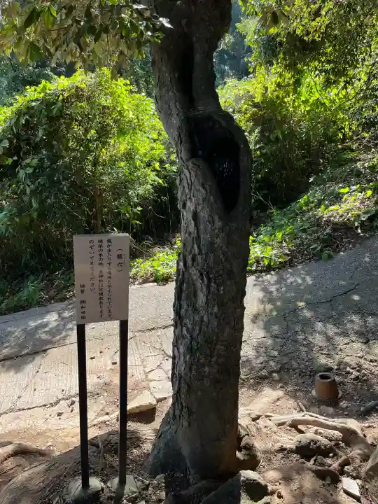 八幡竃門神社(大分県)