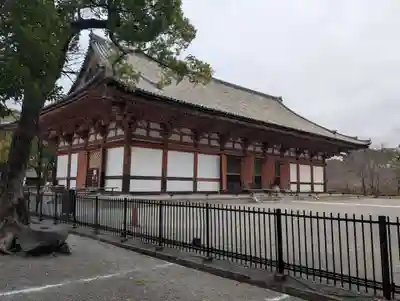 東寺（教王護国寺）(京都府)