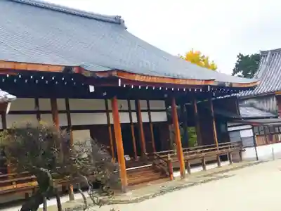 聖護院門跡(京都府)