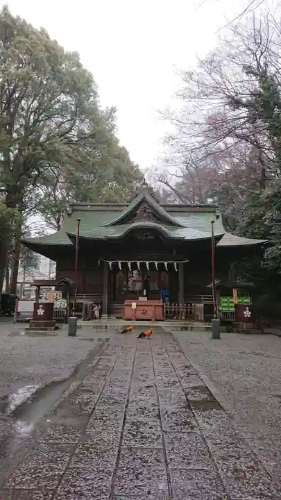 谷保天満宮の本殿・本堂