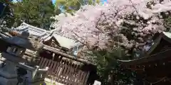 伊豆神社(滋賀県)