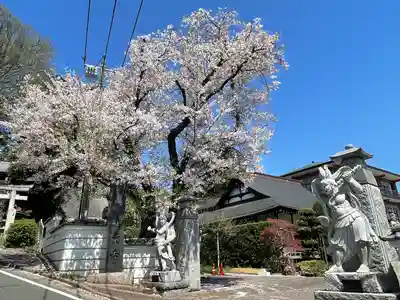 無量寺(神奈川県)