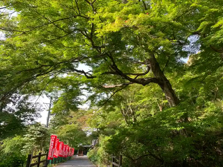 普門寺(切り絵御朱印発祥の寺)のその他建物