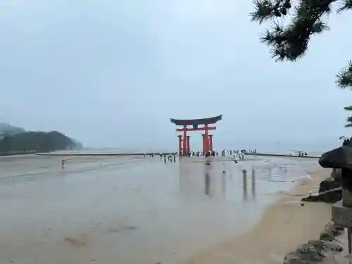 厳島神社の{uncategorized: "未分類", other: "その他", undefined: "問題あり", building: "その他建物", grave: "お墓", sacred_gate: "鳥居", guardian: "狛犬", statue: "像", buddha: "仏像", history: "歴史", nature: "自然", garden: "庭園", animal: "動物", pagoda: "塔", temizu: "手水舎", mountain_gate: "山門・神門", sanctuary: "本殿・本堂", subordinate: "末社・摂社", art: "芸術", scenery: "景色", jizo: "地蔵", ema: "絵馬", goshuin: "御朱印", omikuji: "おみくじ", items: "授与品その他", amulet: "お守り", goshuincho: "御朱印帳", eats: "食事", festival: "お祭り", votive_dance: "神楽", shichigosan: "七五三参", wedding: "結婚式", experience: "体験その他", initially: "初詣", around: "周辺", anti_infection: "感染症対策"}