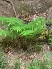 諏訪神社(神奈川県)