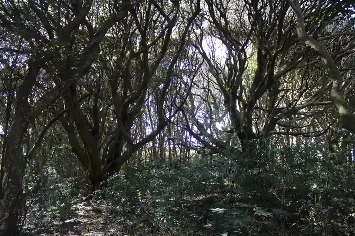 猿田神社の周辺