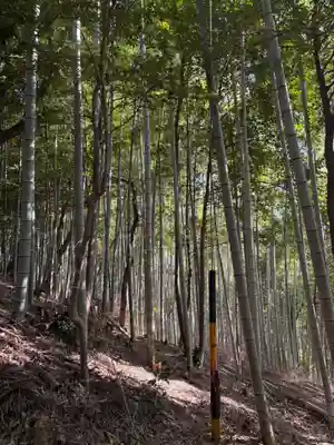大徳院(岐阜県)