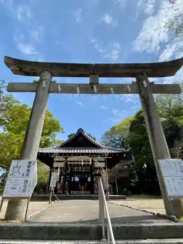 許波多神社（小幡東中鎮座）の鳥居