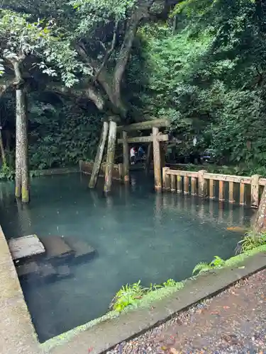 鹿島神宮(茨城県)