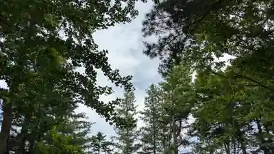 出雲神社の自然