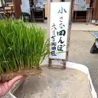 七重浜海津見神社(北海道)