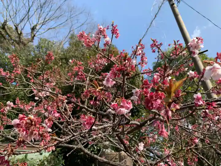 西山神社の自然
