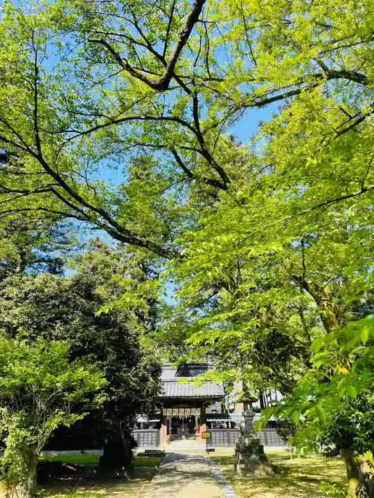 守りの神 藤基神社(新潟県)