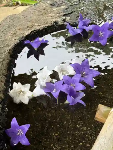 鹿島大神宮の御朱印