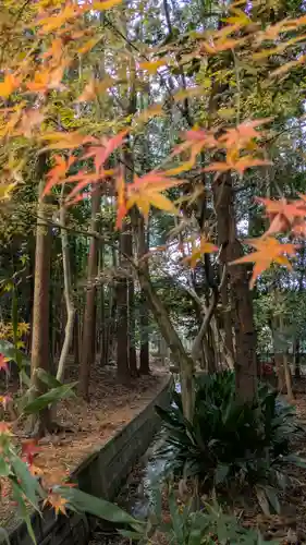 建部大社(滋賀県)