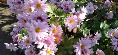 春日神社の自然