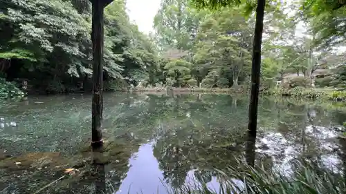 富士山本宮浅間大社の庭園