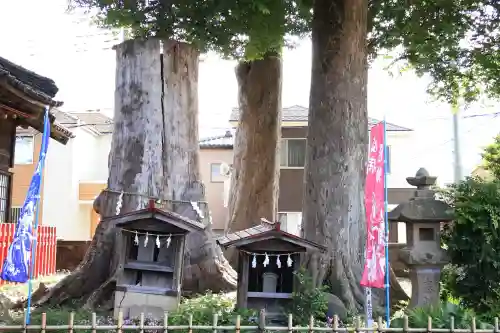 八枝神社(埼玉県)