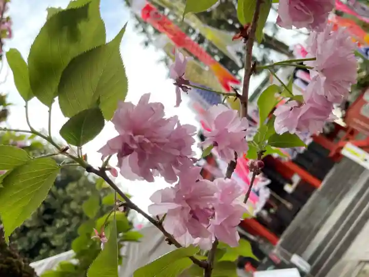くまくま神社(導きの社 熊野町熊野神社)の自然