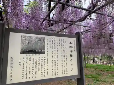 玉敷神社の自然
