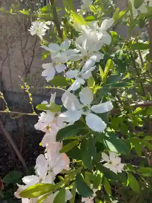 富部神社(愛知県)