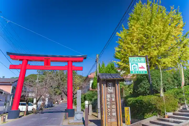 蒲生八幡神社(鹿児島県)