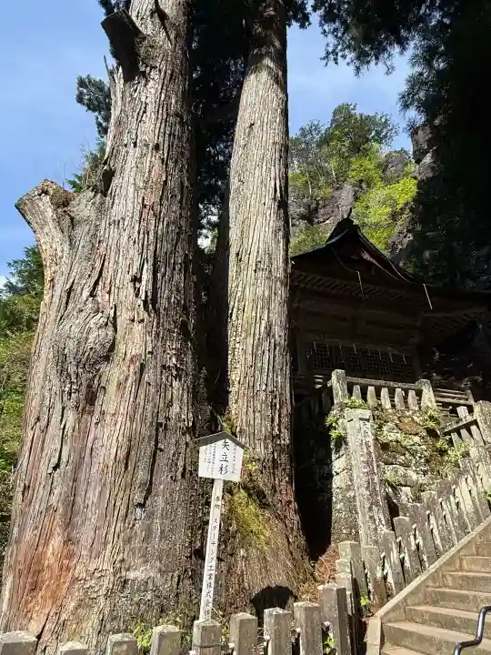 榛名神社の{uncategorized: "未分類", other: "その他", undefined: "問題あり", building: "その他建物", grave: "お墓", sacred_gate: "鳥居", guardian: "狛犬", statue: "像", buddha: "仏像", history: "歴史", nature: "自然", garden: "庭園", animal: "動物", pagoda: "塔", temizu: "手水舎", mountain_gate: "山門・神門", sanctuary: "本殿・本堂", subordinate: "末社・摂社", art: "芸術", scenery: "景色", jizo: "地蔵", ema: "絵馬", goshuin: "御朱印", omikuji: "おみくじ", items: "授与品その他", amulet: "お守り", goshuincho: "御朱印帳", eats: "食事", festival: "お祭り", votive_dance: "神楽", shichigosan: "七五三参", wedding: "結婚式", experience: "体験その他", initially: "初詣", around: "周辺", anti_infection: "感染症対策"}
