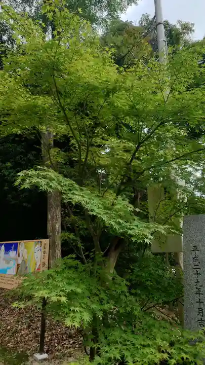 星田妙見宮(大阪府)