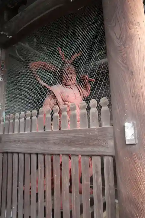 清凉寺(京都府)