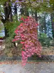 都々古別神社(八槻)の自然