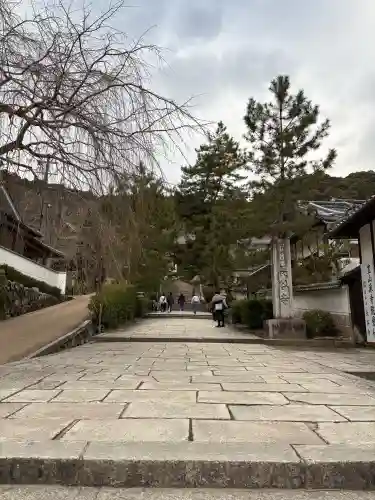 長谷寺の{uncategorized: "未分類", other: "その他", undefined: "問題あり", building: "その他建物", grave: "お墓", sacred_gate: "鳥居", guardian: "狛犬", statue: "像", buddha: "仏像", history: "歴史", nature: "自然", garden: "庭園", animal: "動物", pagoda: "塔", temizu: "手水舎", mountain_gate: "山門・神門", sanctuary: "本殿・本堂", subordinate: "末社・摂社", art: "芸術", scenery: "景色", jizo: "地蔵", ema: "絵馬", goshuin: "御朱印", omikuji: "おみくじ", items: "授与品その他", amulet: "お守り", goshuincho: "御朱印帳", eats: "食事", festival: "お祭り", votive_dance: "神楽", shichigosan: "七五三参", wedding: "結婚式", experience: "体験その他", initially: "初詣", around: "周辺", anti_infection: "感染症対策"}