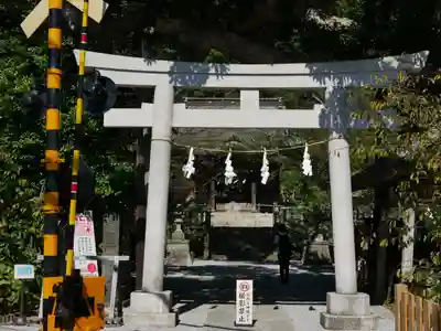 御霊神社の鳥居