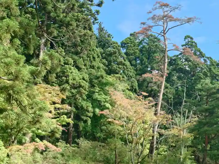 毛越寺(岩手県)