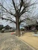 地蔵寺(徳島県)