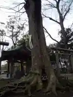一言主神社の自然