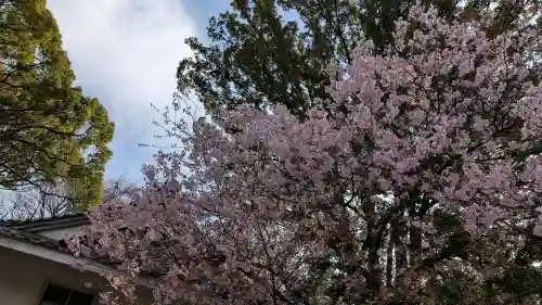愛知縣護國神社の{uncategorized: "未分類", other: "その他", undefined: "問題あり", building: "その他建物", grave: "お墓", sacred_gate: "鳥居", guardian: "狛犬", statue: "像", buddha: "仏像", history: "歴史", nature: "自然", garden: "庭園", animal: "動物", pagoda: "塔", temizu: "手水舎", mountain_gate: "山門・神門", sanctuary: "本殿・本堂", subordinate: "末社・摂社", art: "芸術", scenery: "景色", jizo: "地蔵", ema: "絵馬", goshuin: "御朱印", omikuji: "おみくじ", items: "授与品その他", amulet: "お守り", goshuincho: "御朱印帳", eats: "食事", festival: "お祭り", votive_dance: "神楽", shichigosan: "七五三参", wedding: "結婚式", experience: "体験その他", initially: "初詣", around: "周辺", anti_infection: "感染症対策"}