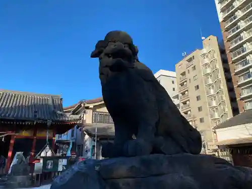 浅草神社の狛犬