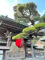 長谷寺の山門・神門
