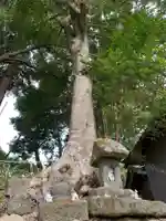 鹿原神社の自然
