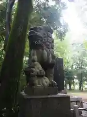 氷川神社(東京都)