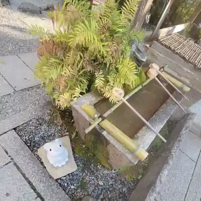 出雲大神宮の手水舎