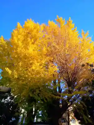 神明神社(神奈川県)
