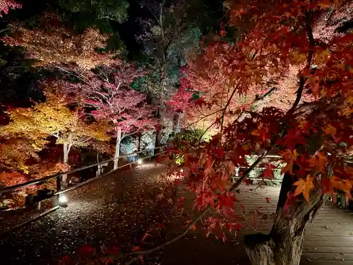 北野天満宮(京都府)