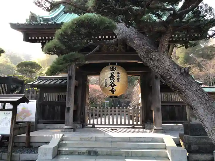 長谷寺の山門・神門