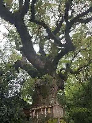 熱田神宮(愛知県)