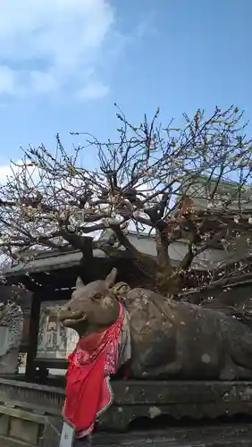 北野天満宮の狛犬