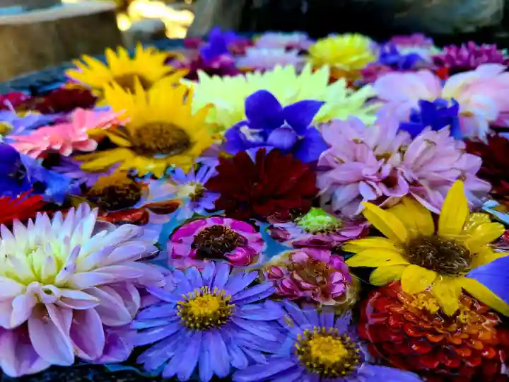 大鏑神社の手水舎