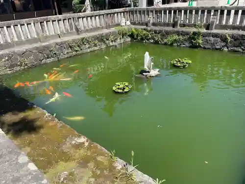 知立神社(愛知県)