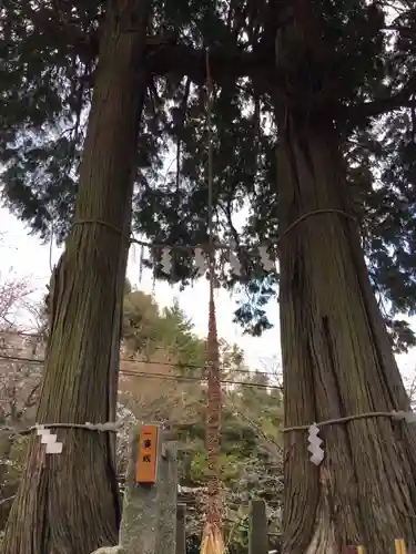 武雄神社(佐賀県)